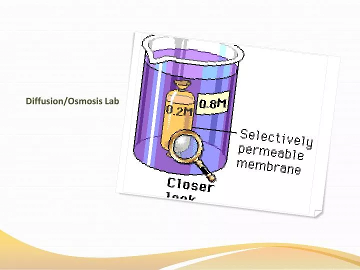 diffusion osmosis lab
