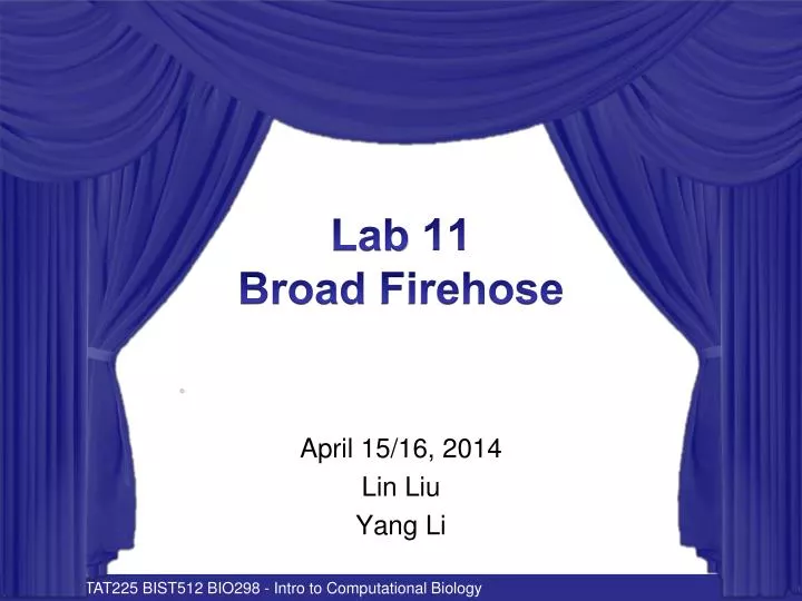lab 11 broad firehose