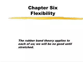 Chapter Six Flexibility
