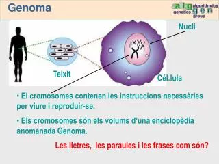 genoma