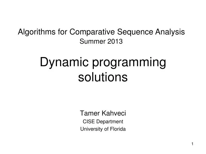 dynamic programming solutions