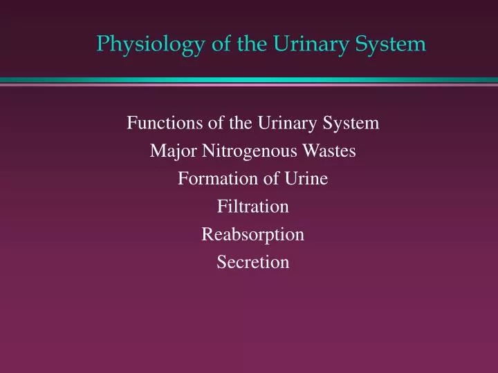 physiology of the urinary system