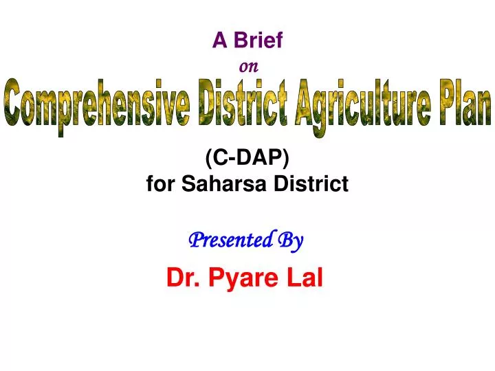 a brief on c dap for saharsa district