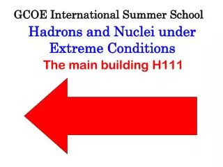 GCOE International Summer School