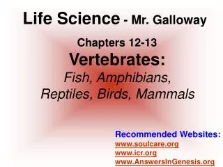 Chapters 12-13 Vertebrates: Fish, Amphibians, Reptiles, Birds, Mammals