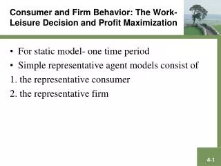 Consumer and Firm Behavior: The Work-Leisure Decision and Profit Maximization
