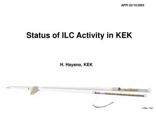 Status of ILC Activity in KEK