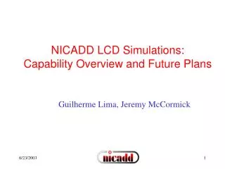NICADD LCD Simulations: Capability Overview and Future Plans