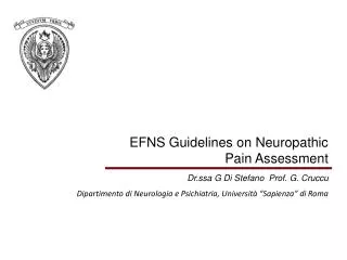 EFNS Guidelines on Neuropathic Pain Assessment