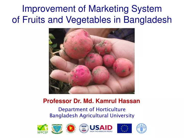 improvement of marketing system of fruits and vegetables in bangladesh