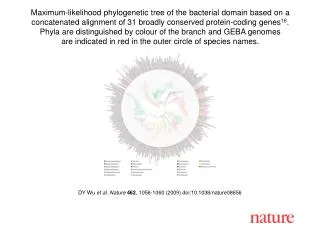 DY Wu et al. Nature 462 , 1056-1060 (2009) doi:10.1038/nature08 656