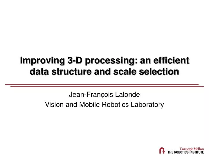 improving 3 d processing an efficient data structure and scale selection