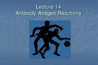 Lecture 14 Antibody-Antigen Reactions