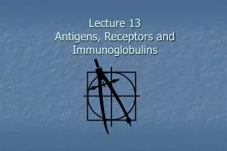 Lecture 13 Antigens, Receptors and Immunoglobulins