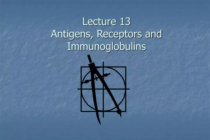 lecture 13 antigens receptors and immunoglobulins