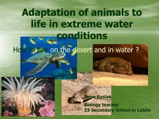 Adaptation of animals to life in extreme water conditions