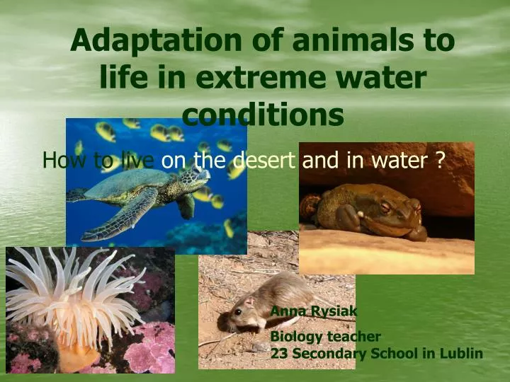 adaptation of animals to life in extreme water conditions