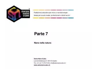 parte 7