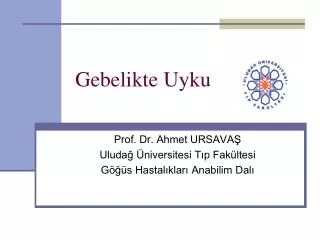 gebelikte uyku