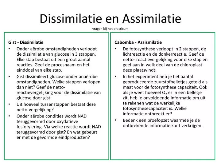 dissimilatie en assimilatie vragen bij het practicum