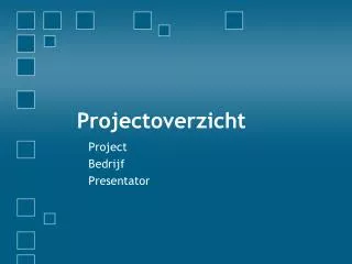 projectoverzicht