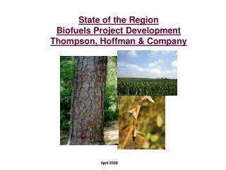 State of the Region Biofuels Project Development Thompson, Hoffman &amp; Company
