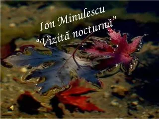ion minulescu vizit nocturn