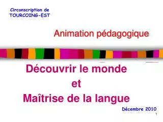 animation p dagogique