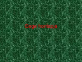 gege honlapja