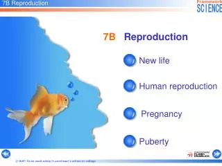 7B Reproduction