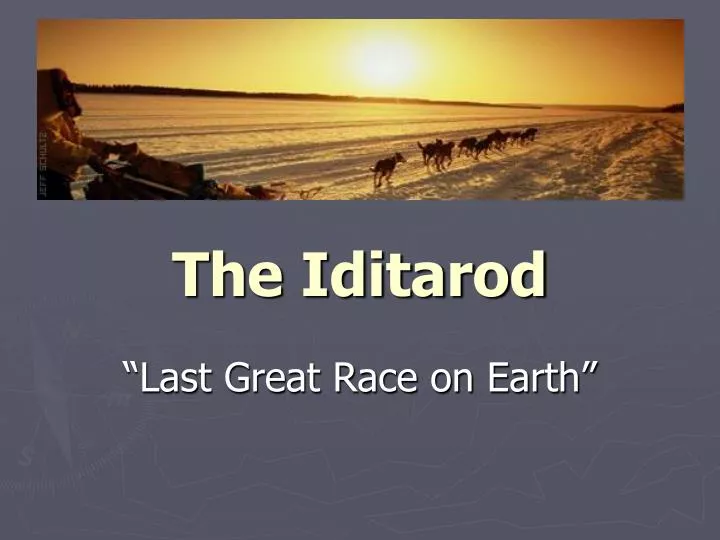 the iditarod