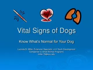 Vital Signs of Dogs