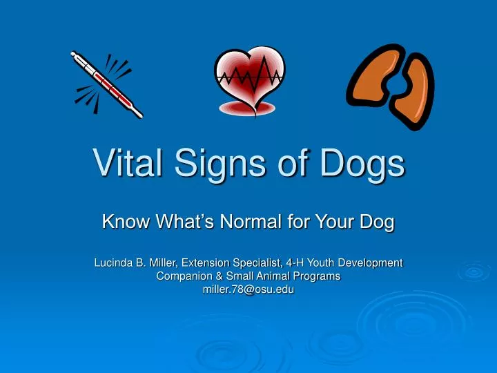 vital signs of dogs