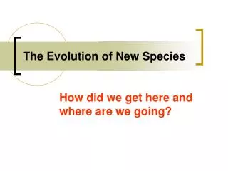 the evolution of new species