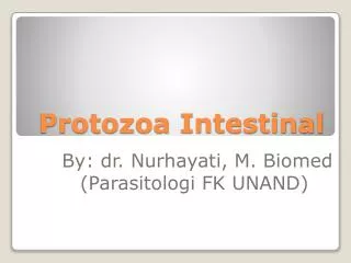 protozoa intestinal