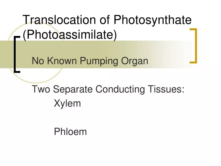 translocation of photosynthate photoassimilate
