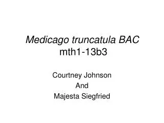Medicago truncatula BAC mth1-13b3