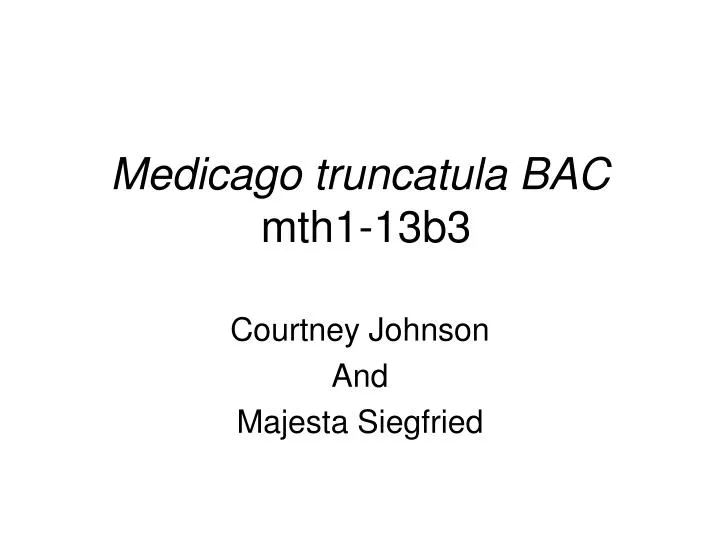medicago truncatula bac mth1 13b3