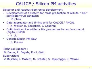 CALICE / Silicon PM activities