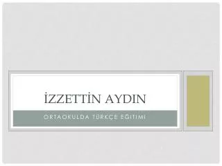 zzett n aydin