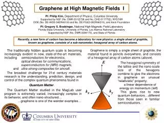 Graphene at High Magnetic Fields I