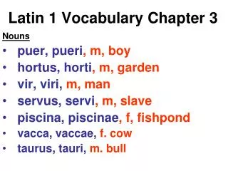 Latin 1 Vocabulary Chapter 3
