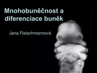 mnohobun nost a diferenciace bun k
