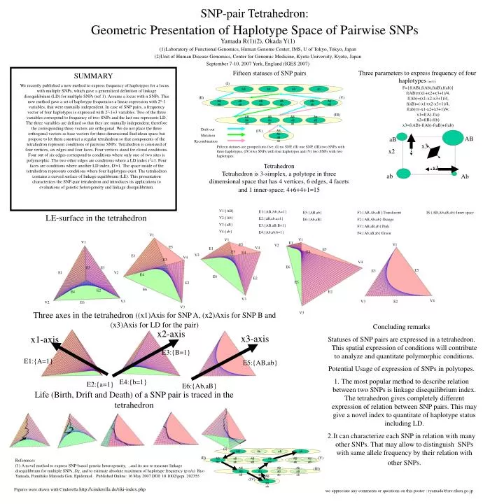 snp pair tetrahedron geometric presentation of haplotype space of pairwise snps