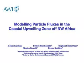 Modelling Particle Fluxes in the Coastal Upwelling Zone off NW Africa
