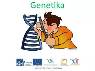 genetika