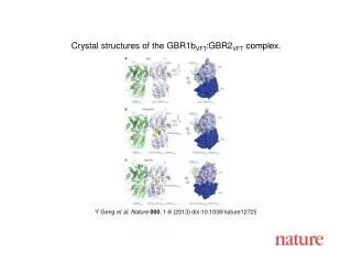 Y Geng et al. Nature 000 , 1-6 (2013) doi:10.1038/nature12725