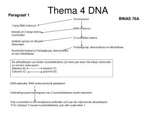 thema 4 dna