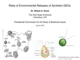 Risks of Environmental Releases of Synthetic GEOs
