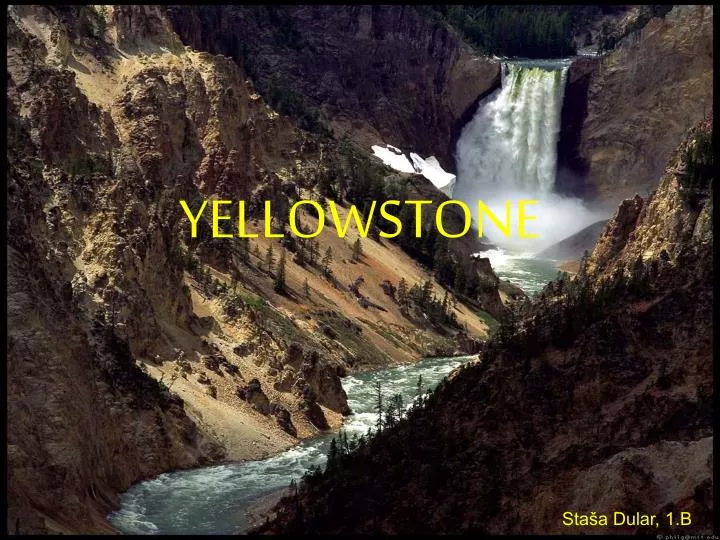 yellowstone